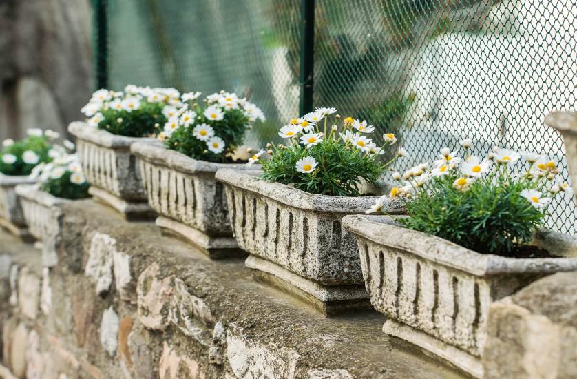 Vintage stone troughs
